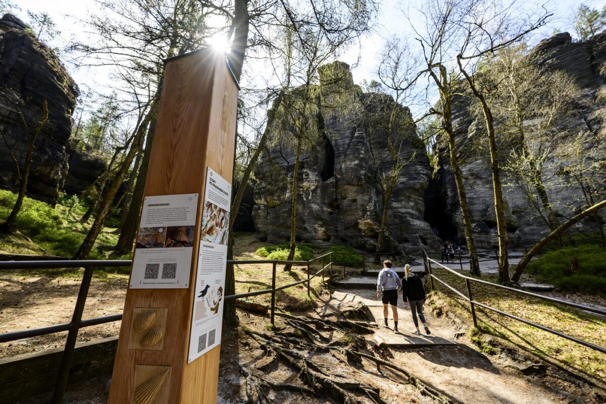 Neuer Lehrpfad in den Tyssaer Wänden: Informationstafeln aus Holz mit QR-Codes sollen Besucher lenken und für den Schutz der sensiblen Sandsteinlandschaft sensibilisieren.