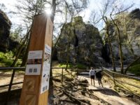Neuer Lehrpfad in den Tyssaer Wänden: Informationstafeln aus Holz mit QR-Codes sollen Besucher lenken und für den Schutz der sensiblen Sandsteinlandschaft sensibilisieren.