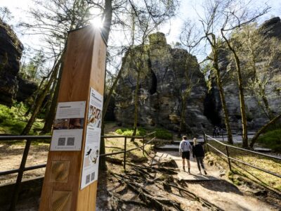 Neuer Lehrpfad in den Tyssaer Wänden: Informationstafeln aus Holz mit QR-Codes sollen Besucher lenken und für den Schutz der sensiblen Sandsteinlandschaft sensibilisieren.