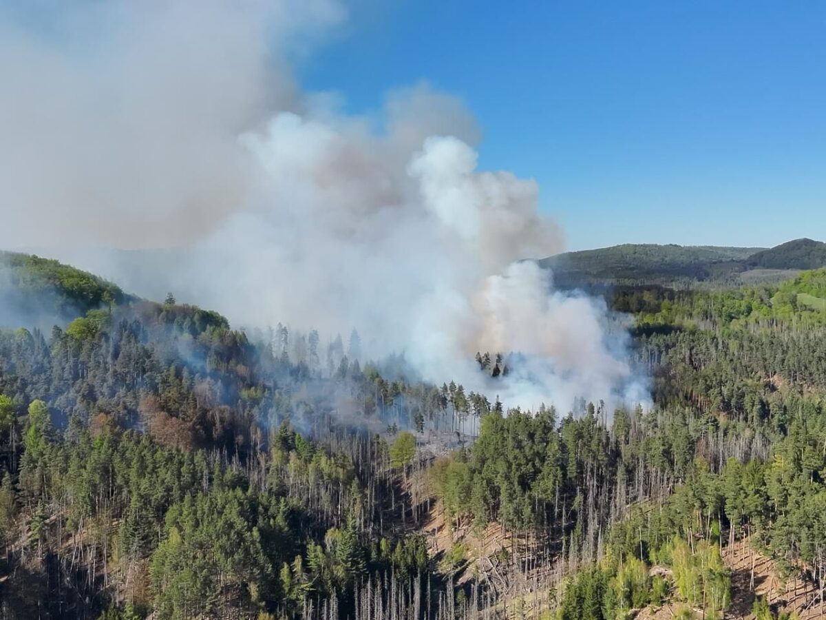 Dichter Rauch steigt über dem Waldgebiet bei Rennersdorf (Rynartice) im Nationalpark Böhmische Schweiz auf, wo Einsatzkräfte gegen einen großflächigen Waldbrand kämpfen. Foto: Hasičský záchranný sbor ČR / X