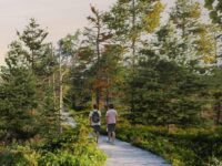 Neuer Wanderweg führt durch ehemaliges Tagebaugebiet im Erzgebirge