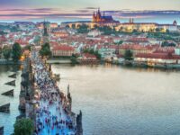 Stellenausschreibung: ifa-Redakteur:in beim LandesEcho gesucht