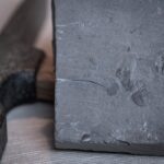 Das Fossil der neu entdeckten Arthropodenart Soomaspis labutai wurde bei Bauarbeiten an der Prager Metro-Linie D gefunden. Der rund 448 Millionen Jahre alte Fund könnte neue Erkenntnisse über die Verbreitung früher Gliederfüßer liefern.