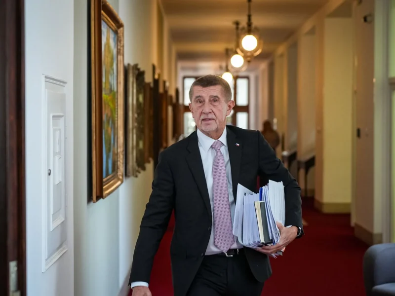 2017 während seiner ersten Amtszeit plante Andrej Babiš, die Istanbul-Konvention zu ratifizieren ⎼ nun hat sich seine Meinung geändert.