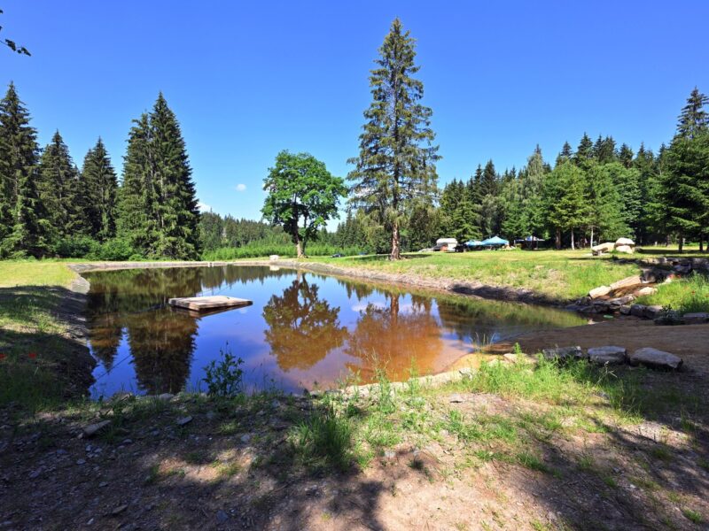 Erinnerung an altes Waldbad im Erzgebirge: Wasserbecken in Brettmühl rekonstruiert
