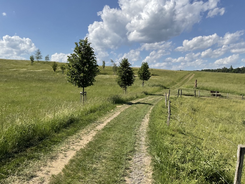 Auf den Spuren verschwundener Dörfer: Das Festival „Der Weg / Cesta“ führt vom 23. bis 28. August durch das Drahaner Bergland.