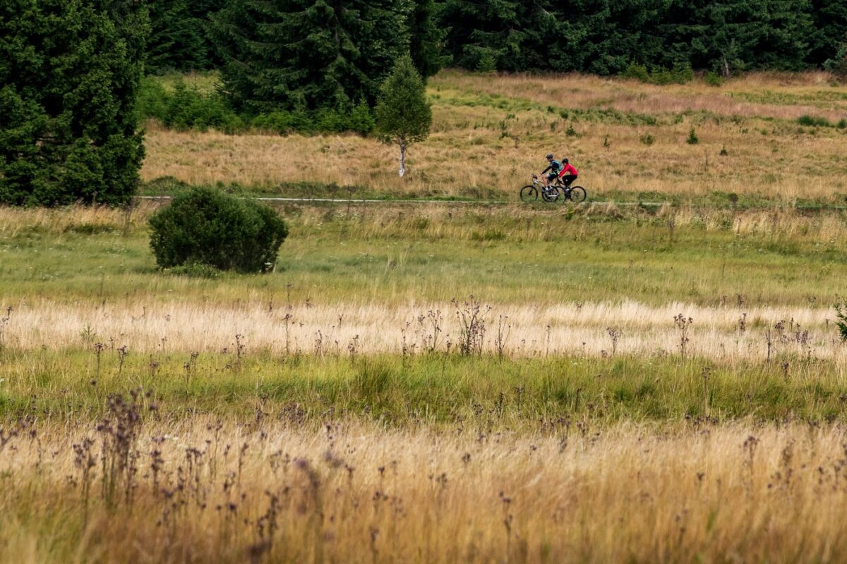 Fahrradfahrer im Böhmerwald bei Tusset (Stožec).