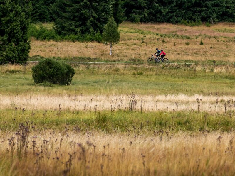 Neuer Radweg verbindet Böhmerwald und Bayerischen Wald
