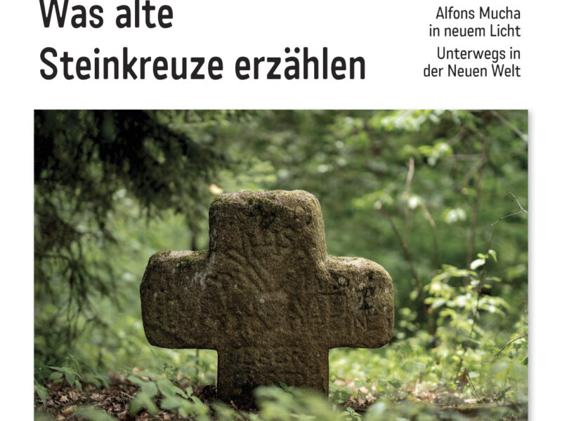 Das neue LandesEcho 9/2026 ist da!