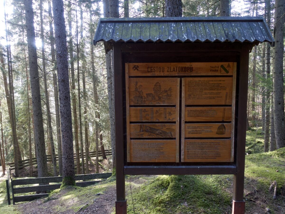 Entlang des Goldgräberpfads im Böhmerwald befinden sich nun sieben neue Informationstafeln.