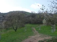 Felsen in Divoká Šárka, Foto: Friederike Aschhoff