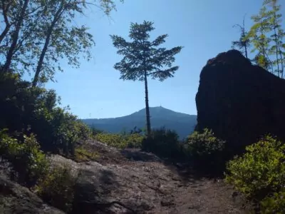 Aussicht auf den Arber - Foto: Jana Heenen