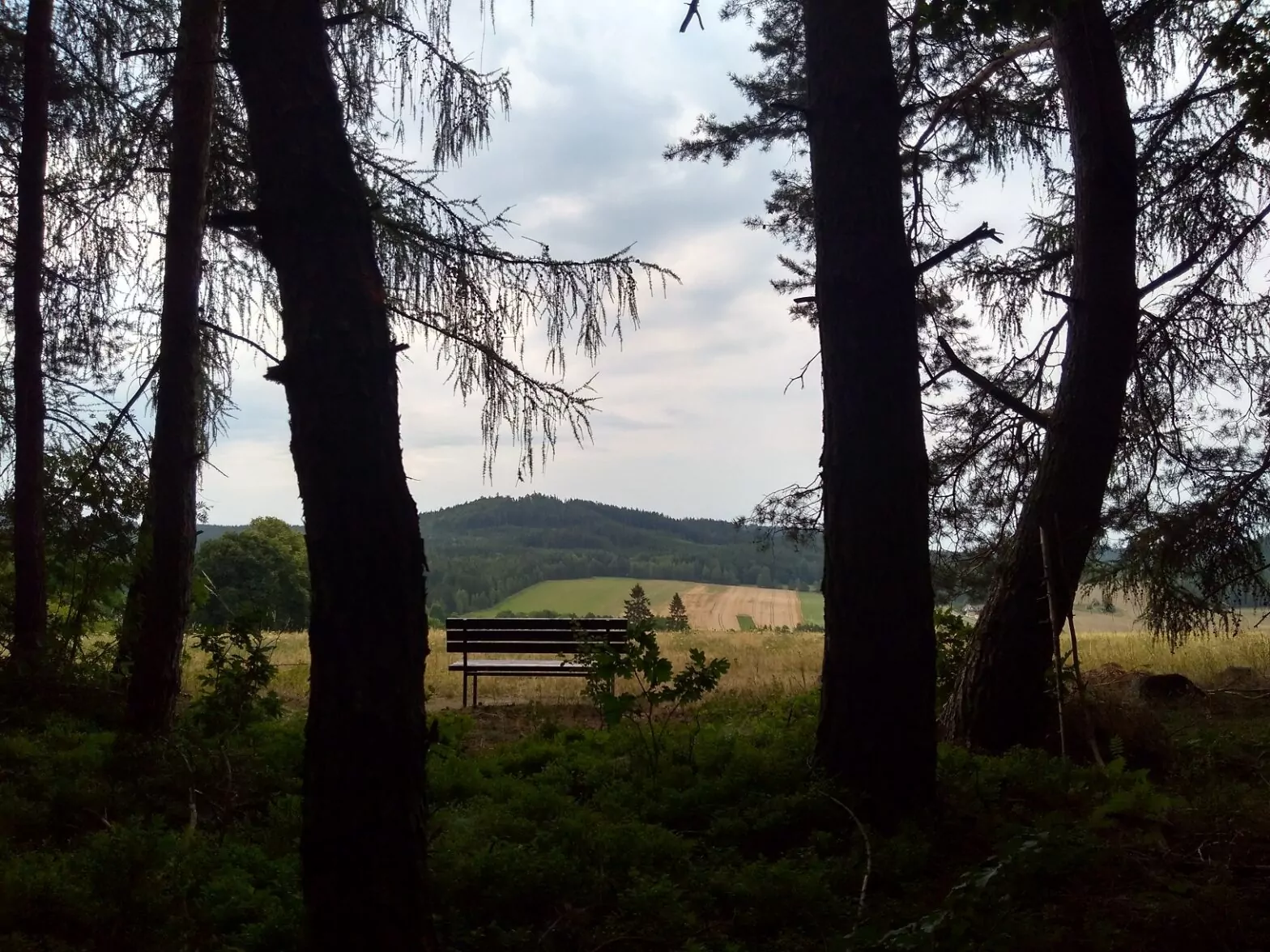 Natur um Holoubkov - Foto: Jana Heenen