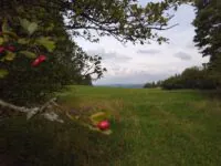 Aussicht vom Wolfsberg - Foto: Jana Heenen