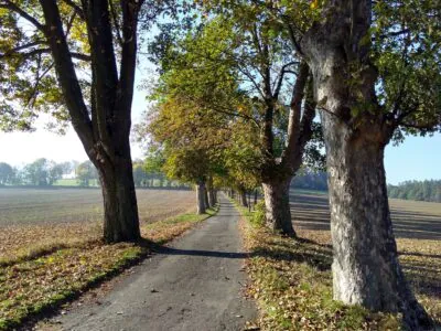 Auf dem Weg nach Veselá hora - Foto: Jana Heenen