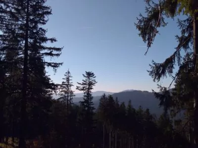 Aussicht auf den Großen Arber - Foto: Jana Heenen