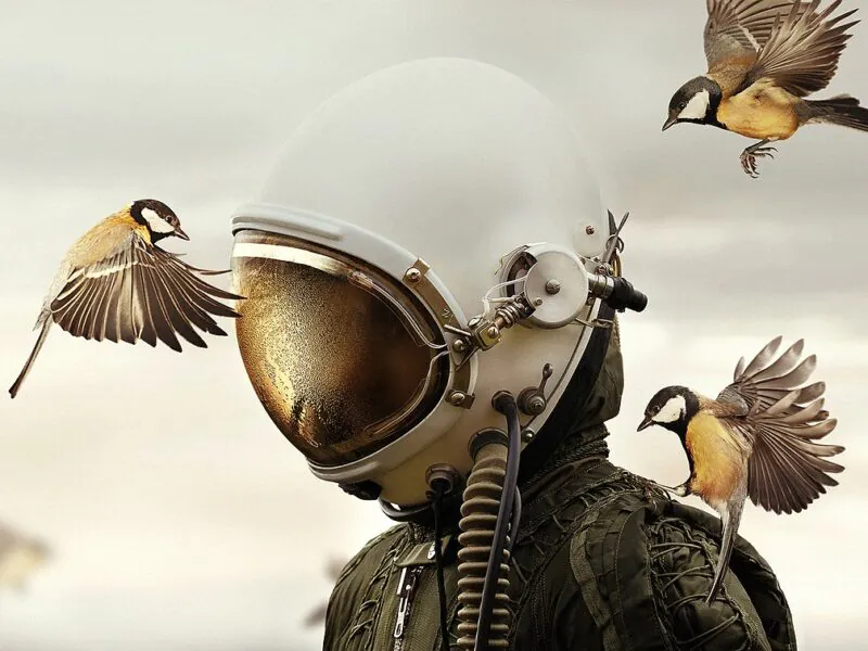 “Dreamers and Warriors” von Martin Stranka (2018), Foto: Michala Zaludova, Dreamers and Warriors, CC BY-SA 4.0