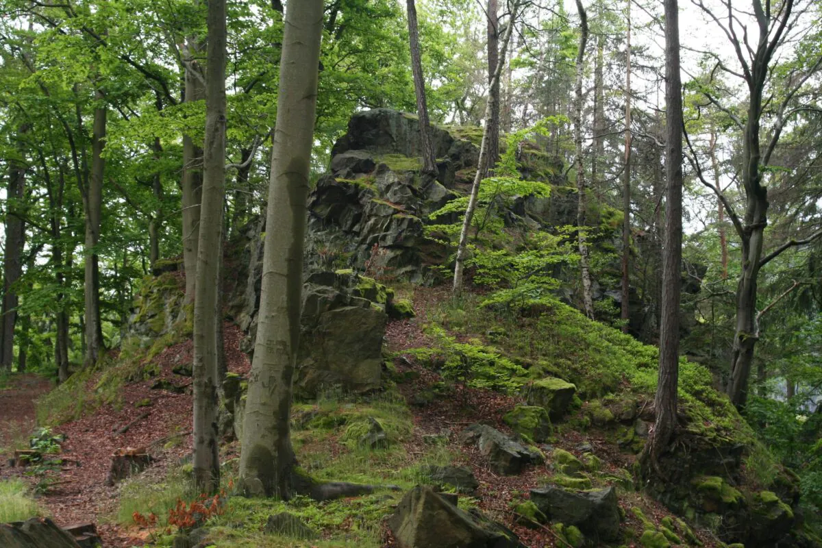 Der Braunstein ist heute bekannt unter dem Namen „Dívčí skok“ (dt. Mädchensprung) im Gedenken an eine junge Frau, die sich aufgrund einer unerwiderten Liebe im Jahr 1896 hier in die Tiefe warf. Foto: Mapy.cz/ Svenzittauer
