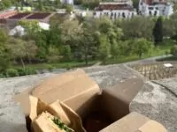 Kleines Budget, großer Hunger – wie ich mich mit einer App durch Prag schlemme