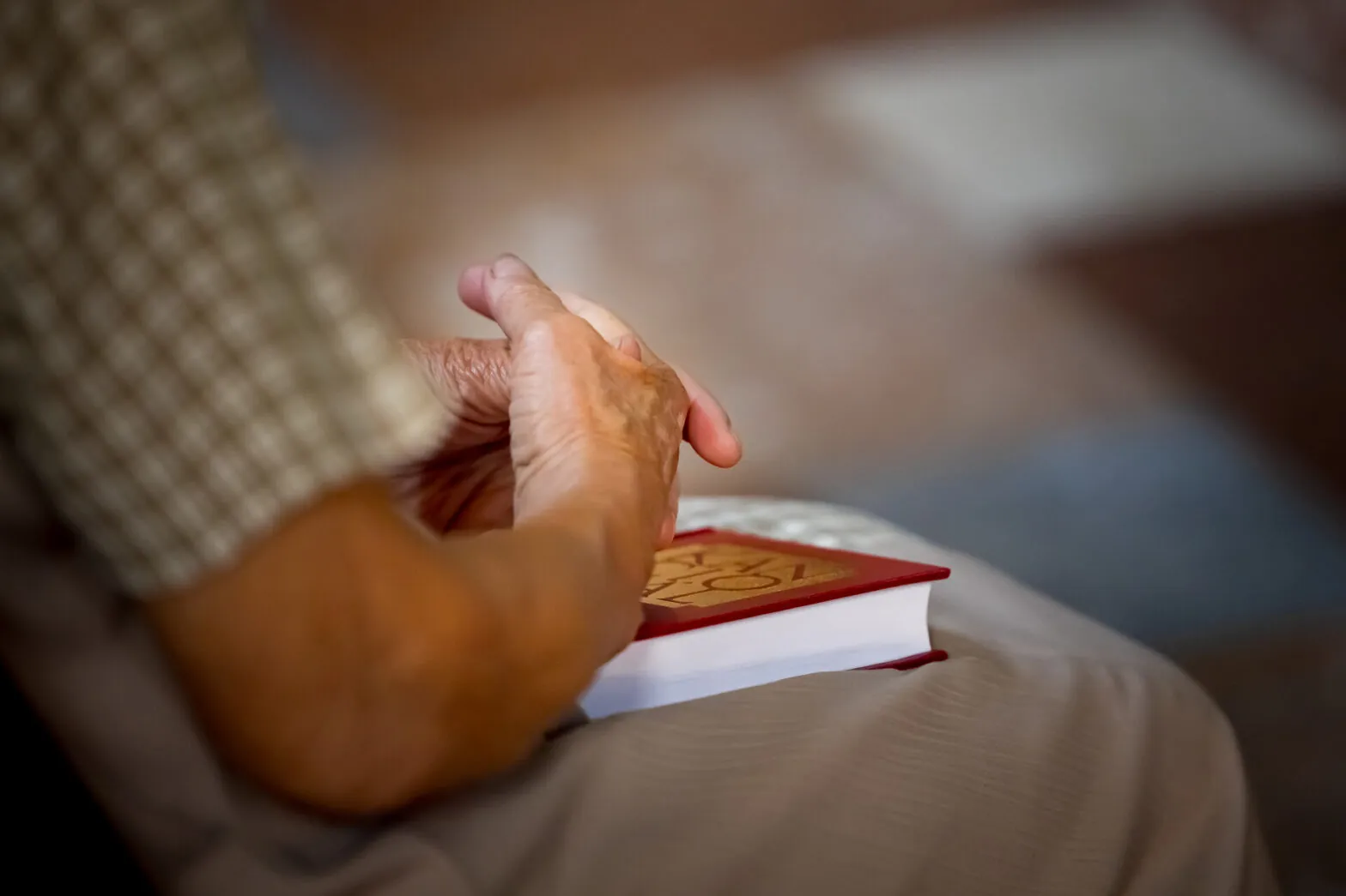 Mit einer Erklärung richtet sich die Tschechische Bischofskonferenz vor den Parlamentswahlen an die Gläubigen.