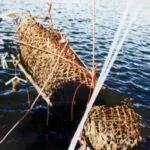 Die in Drahtgeflecht eingewickelte Leiche von Aleš Katovský wird aus dem Adler-Stausee geborgen.